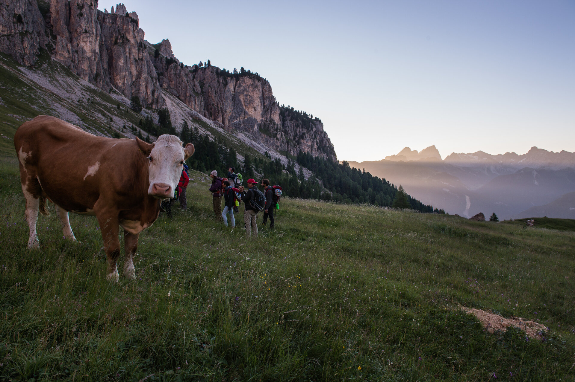 Tramonto in alpeggio | © Andrea Costa - Archivio Immagini ApT Val di Fassa Tramonto in alpeggio in Val di Fassa | © Andrea Costa - Archivio Immagini ApT Val di Fassa
