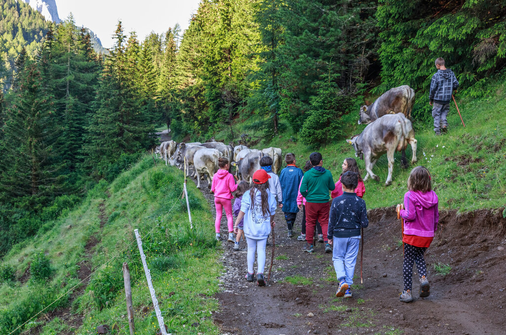 Alpeggio Alpeggio in Val di Fassa
