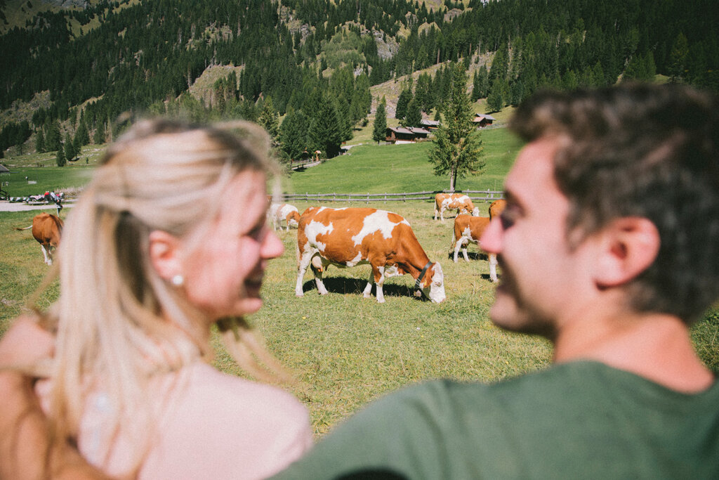 Mucche in Val San Nicolò Persone sorridenti mentre guardano delle mucche al pascolo in Val San Nicolò in Val di Fassa