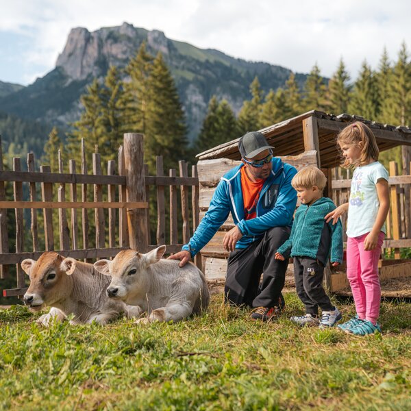 What To Do As A Family What To Do As A Family