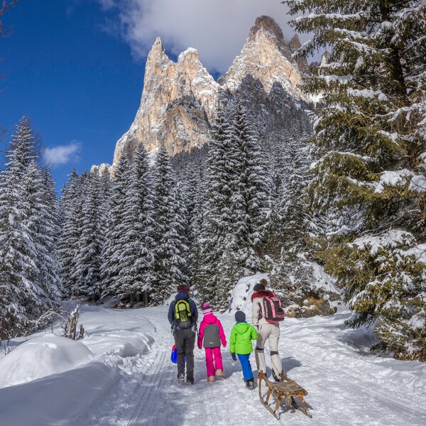 Slittino | © Patricia Ramirez  - Archivio Immagini ApT Val di Fassa Slittino in Val di Fassa | © Patricia Ramirez  - Archivio Immagini ApT Val di Fassa