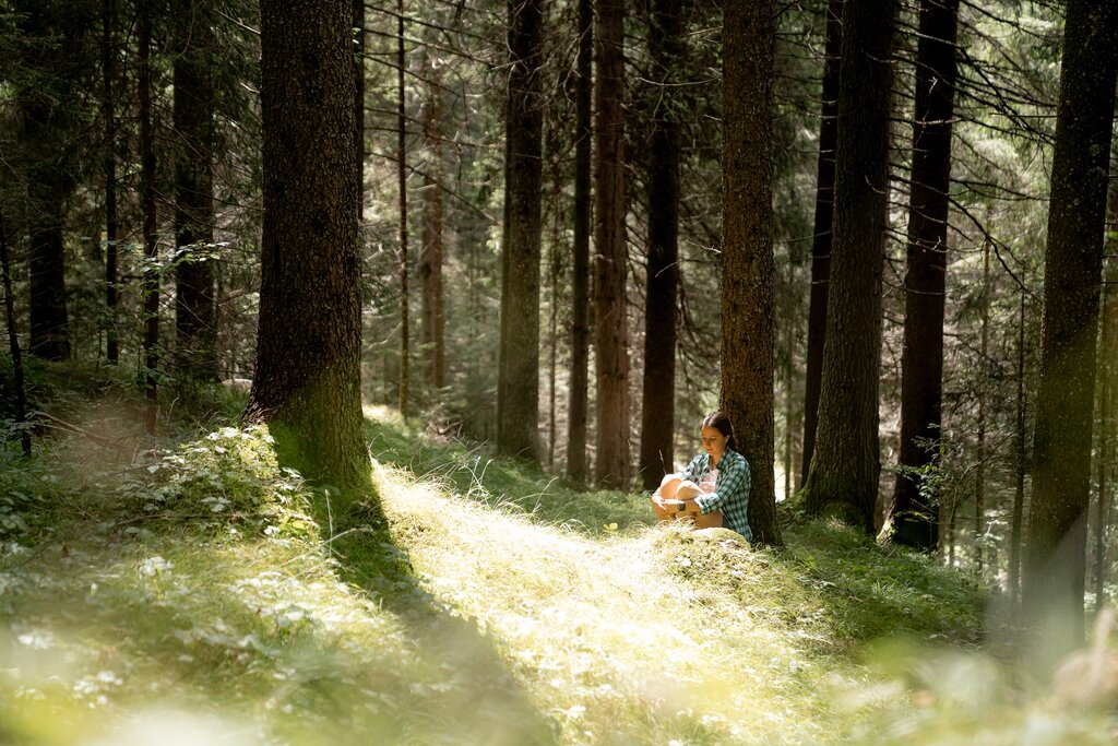 Forest Bathing Forest bathing nei boschi della Val di Fassa