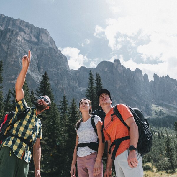 Mountain Trails Mountain Trails