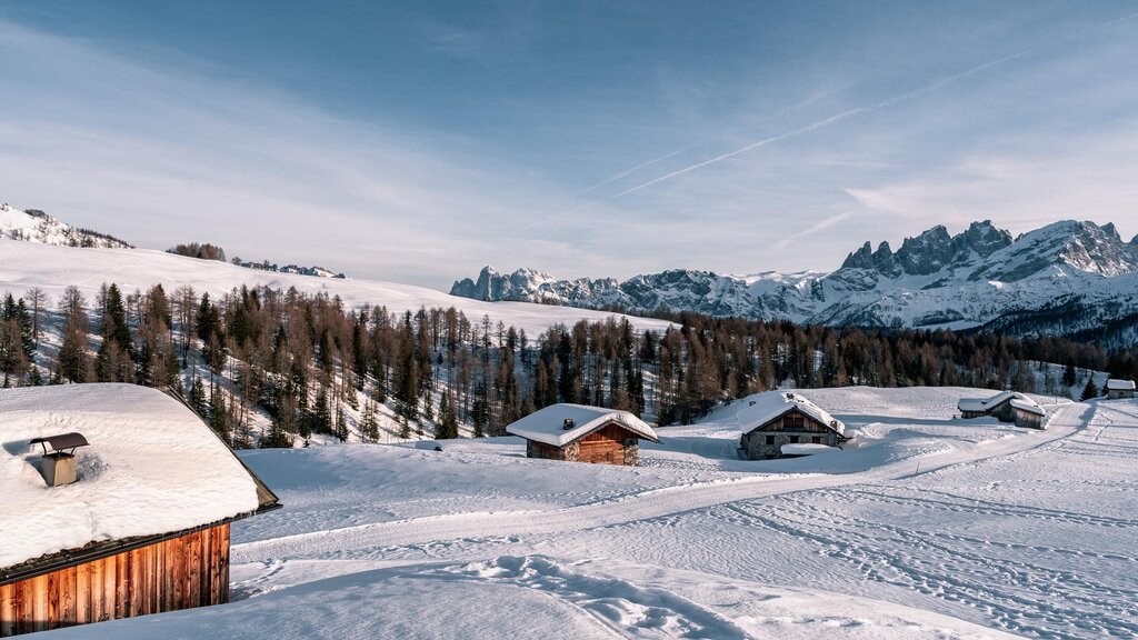 Passeggiata sulla neve al Passo San Pellegrino Passo San Pellegrino innevato