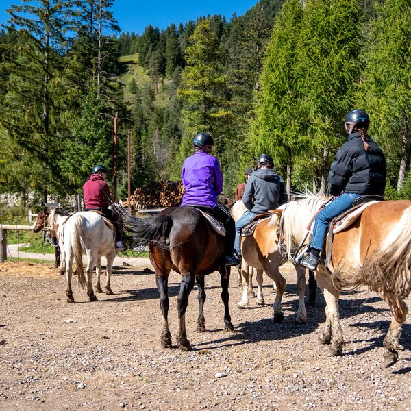 Charlotte Horse Riding Charlotte Horse Riding