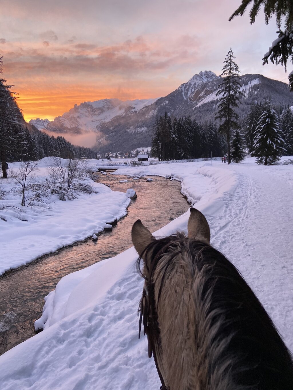 Content Dam Org 3 Images Full Rights Outdoor Equitazione   Maneggi Charlotte Horse Riding Archivio Charlotte Horse Riding Campitello Inv13 Content Dam Org 3 Images Full Rights Outdoor Equitazione   Maneggi Charlotte Horse Riding Archivio Charlotte Horse Riding Campitello Inv13