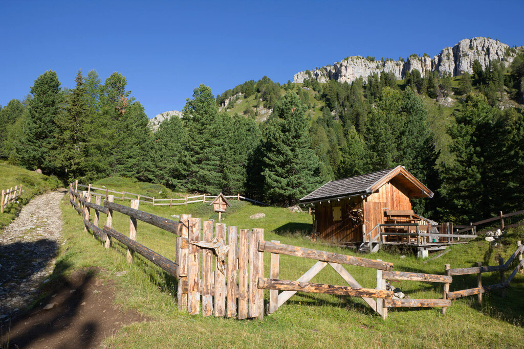 Content Dam Org 3 Images Full Rights Gusto Rifugio Vallaccia Rifugio Vallaccia Monzoni Archivio Apt Val Di Fassa Nangeli 06 Content Dam Org 3 Images Full Rights Gusto Rifugio Vallaccia Rifugio Vallaccia Monzoni Archivio Apt Val Di Fassa Nangeli 06