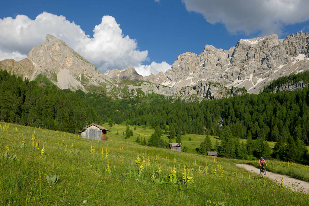 Content Dam Org 3 Images Full Rights Natura Val San Nicolo Archivio Apt Val Di Fassa Nangeli Val San Nicolo Est 3 Content Dam Org 3 Images Full Rights Natura Val San Nicolo Archivio Apt Val Di Fassa Nangeli Val San Nicolo Est 3