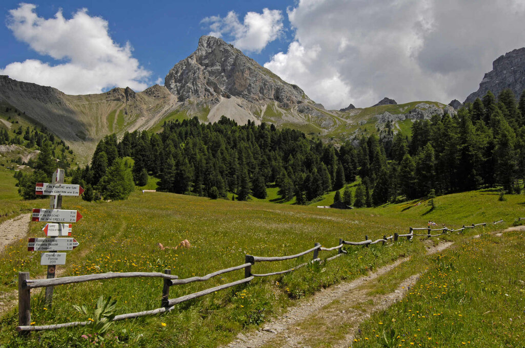 Content Dam Org 3 Images Full Rights Natura Val San Nicolo Archivio Apt Val Di Fassa Cainelli Val San Nicolo Estate 6 Content Dam Org 3 Images Full Rights Natura Val San Nicolo Archivio Apt Val Di Fassa Cainelli Val San Nicolo Estate 6
